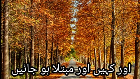 Best poetry lines| Ghazal| sad poetry