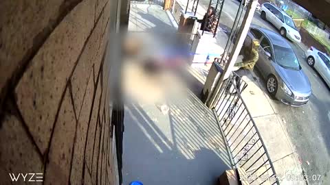 Philadelphia Police Searching for Two Suspects that Unleashed Dogs on Family Cat