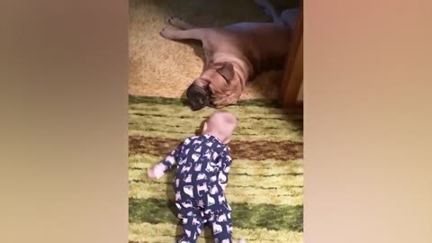 Cute babies with his pet