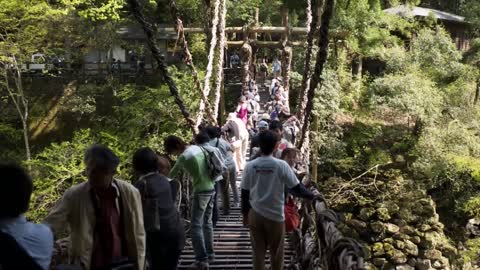 12 Most Terrifying Bridges You Don't Want To Cross ~(MindBoggler)