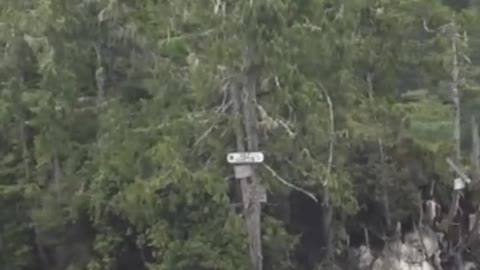 A unique video shows a small island seemingly moving through the waters off Vancouver Island, B.C.