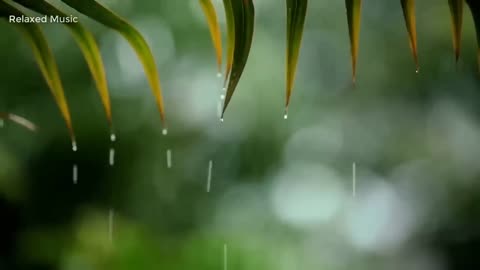 Relaxing Piano Music & Soft Rain