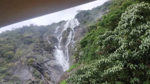 Goa Best waterfall❣️ dudhsagar