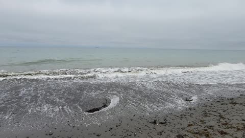 Beach at Dungeness Recreational Park