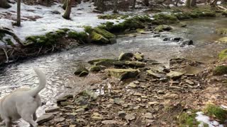 Five Day Thru Hike on the Baker Trail - Video 08 Creiton and the Creek