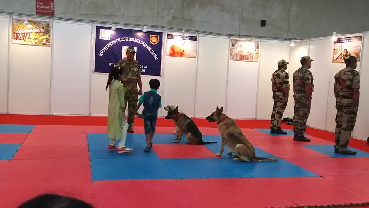 CISF demonstration of Dog Squad 2021