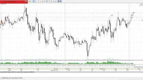 Price Action Forex Scalping Strategy Above 80% Wins!