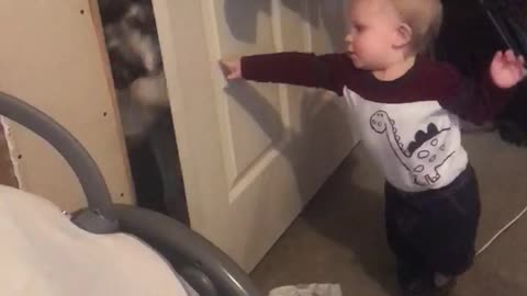 Dog Gives Baby Push with Door