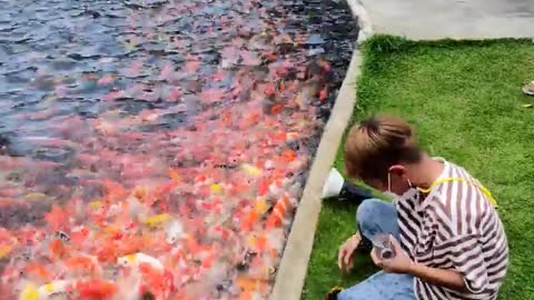 Kid playing with fish