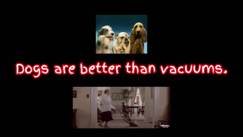 Dogs v.s. Vacuums