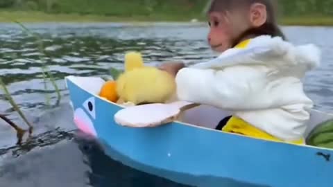 BiBi rowing boat to picnic with duckling