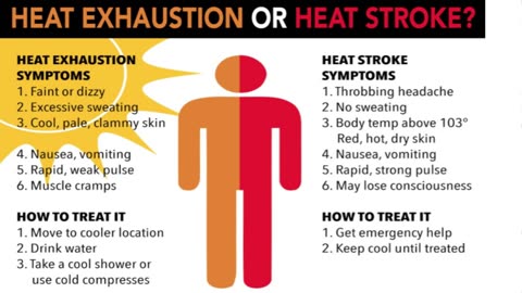 Heat Blame For Thousands Of Deaths. How It Actually Kills You