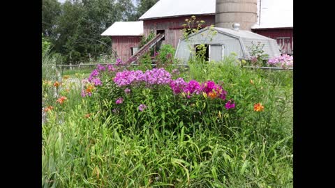 Michigan Countryside