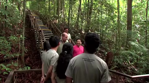 Prince William meets young conservationists in Singapore