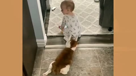 Dogs and Babies are best friends cute baby and dogs love