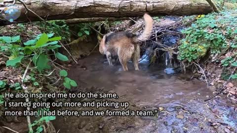 This good boy enjoys recycling: Chipper is a dog on a quest to collect plastic.