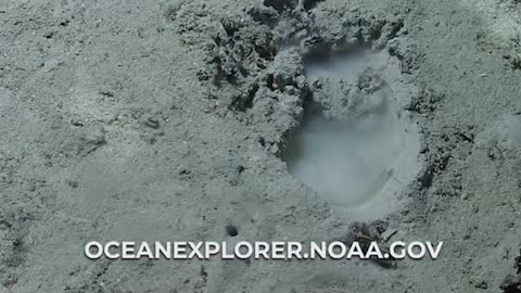 Tim Gallaudet on “Mysterious Holes on the Sea Floor”