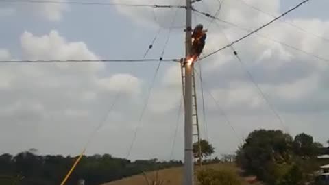 How this lineman lost his life while working on high voltage line