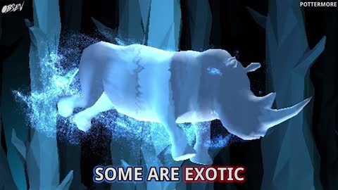 Pottermore Patronus Test