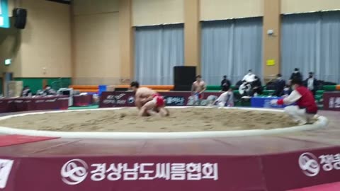 Korean wrestling game