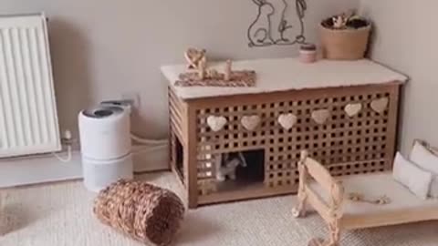 House Rabbit Home Setup - Indoor Rabbit - House Bunny