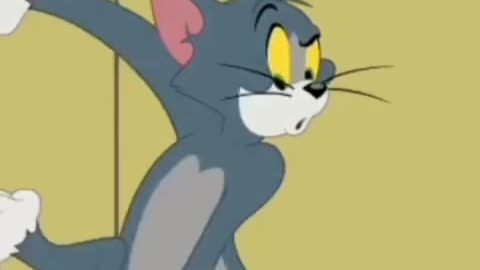 Tom and Jerry funny videos