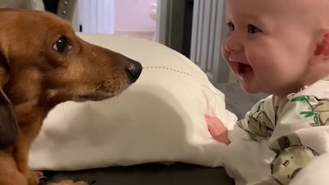 baby and dogs cute and funny dog videos 🤣🤣