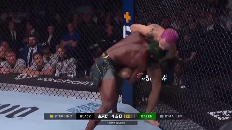 Sean O’Malley KOs Aljamain Sterling at UFC 292