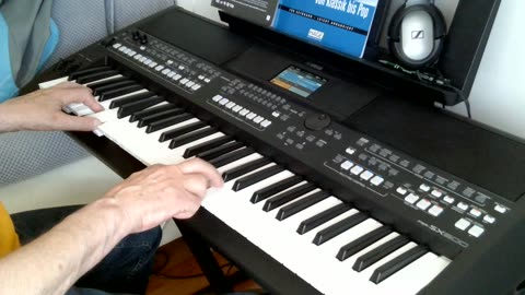 Je t`aime mon amour (Claudia Jung) cover by Henry, Yamaha PSR SX600