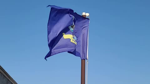 My flags on a windy day.