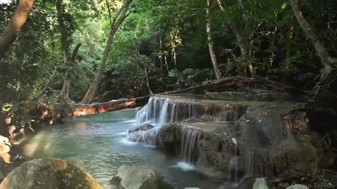 Rainforest Sounds - Water Sound Nature Meditation