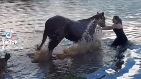 The horse went to take a bath