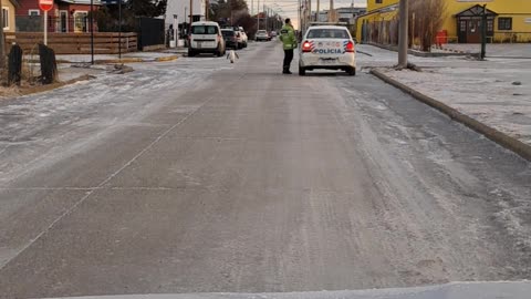 Penguin Walks Through City Streets in Argentina