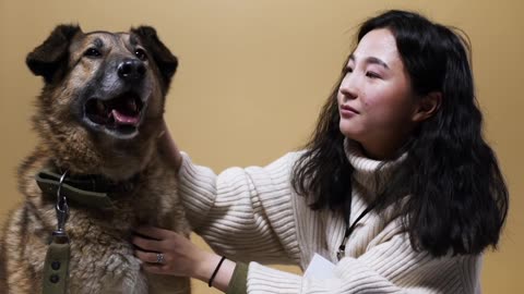 Woman Petting Dog Lying on the Floor