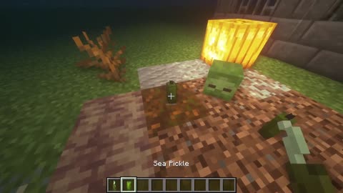 LETZTER GROSSER Snapshot! (Villager-UPGRADE) Snapshot 19w11a