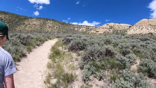 The Fish and Turtles of Fossil Butte National Monument