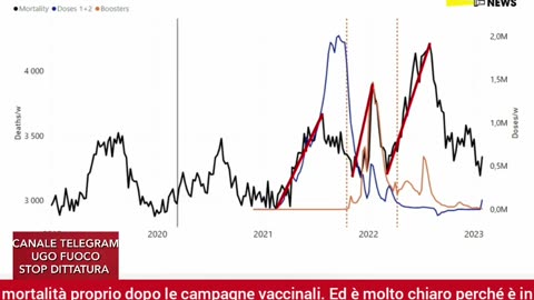 17 milioni di morti causati dal vaccino.