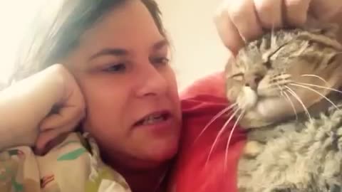 Talking cat says NO! to kisses on the head Funny Reaction