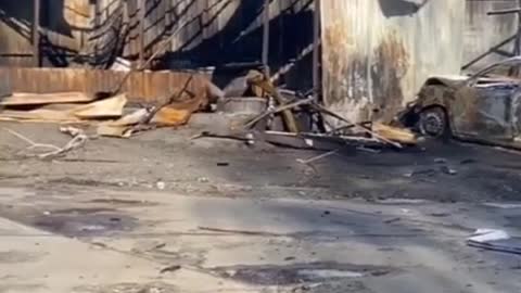 Video of Destroyed Hostomel city in Ukraine War🇺🇦 #ukraine #shorts