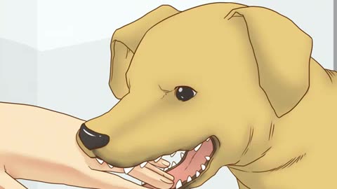 How to stop your dog from biting