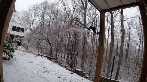 Night snowfall time lapse