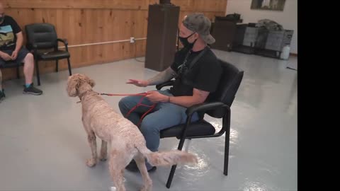 SEPERATION ANXIETY DOG TRAINING FOR FEARFUL DOODLE