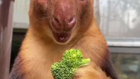 Don’t forget to eat your greens! 🥦