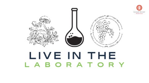 Live in the Lab Presented by Great River Mushrooms 🍄🧑‍🌾🥼🧫