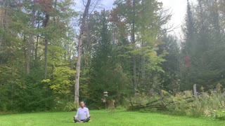 Quiet INTUITIVE Outdoor Yoga And Deer 🦌 25min🌍❤️