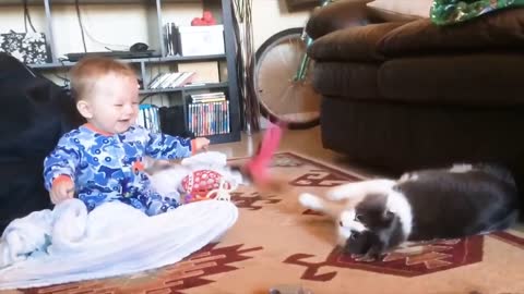 Funny baby playing with animals