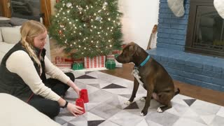 Rescue Doggie Loves Magic Tricks