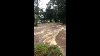 Front Yard Flooded in Hawaii