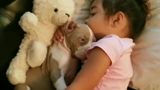 Adorable cachorro se acurruca con una pequeña niña