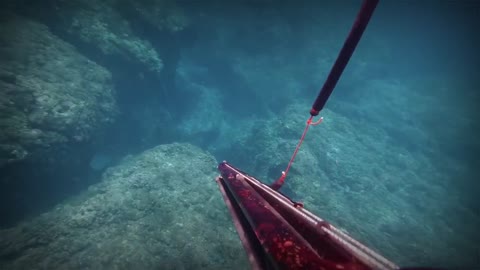 Spearfishing - Sabtang Island (Batanes)